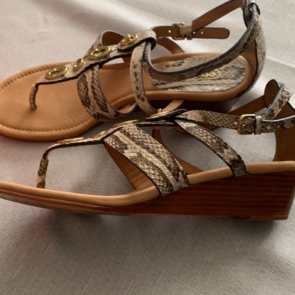 Coach Shoe Vicky Printed Python Natural. - image 5